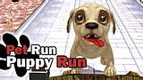 Pet Run Puppy Run
